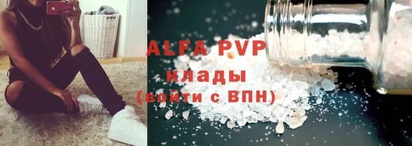 гашик Няндома