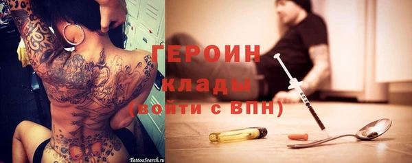 гашик Няндома