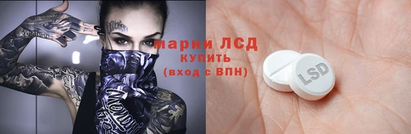 гашик Няндома