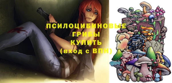 spice Абаза
