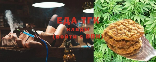 гашик Няндома