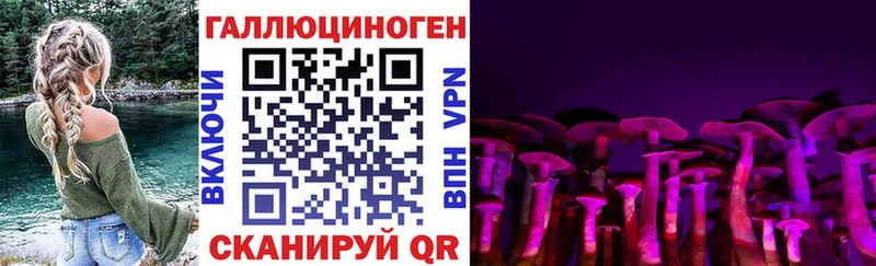 darknet наркотические препараты Южа Псилоцибиновые грибы Magic Shrooms