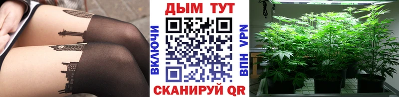 Конопля Amnesia  даркнет какой сайт  Южа  как найти закладки 